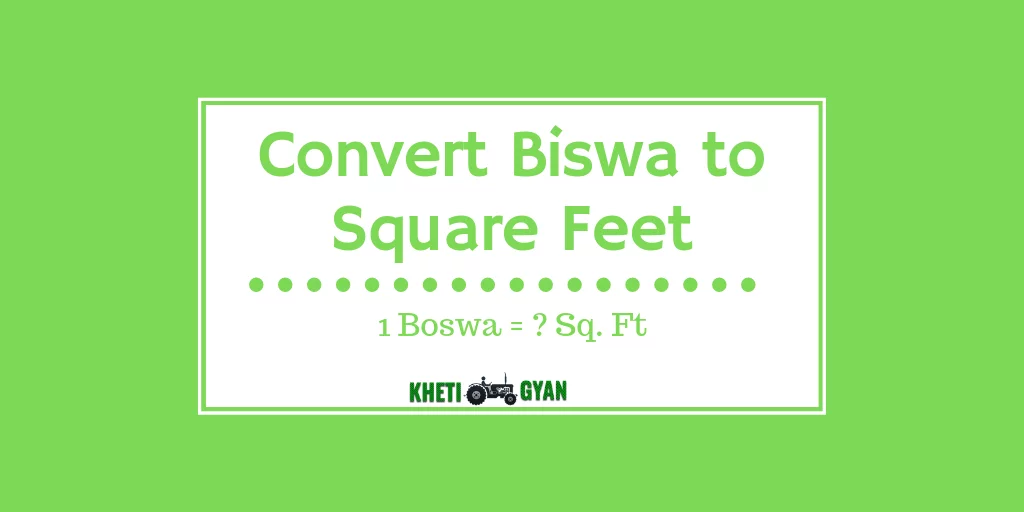 Convert Biswa to Square Feet