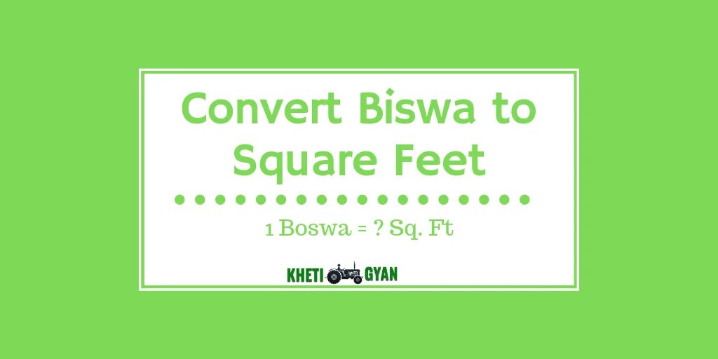 Convert Biswa to Square Feet
