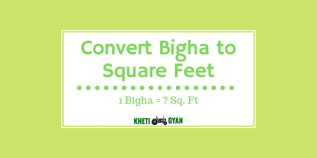 Convert bigha to Square Feet