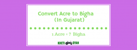 Convert Acre to Bigha (In Gujarat)
