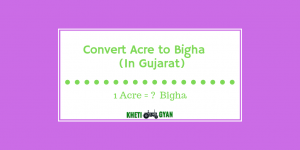 11 bigha to acre in gujarat