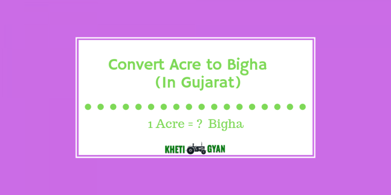 bigha-archives-unit-converters-for-land-measurement