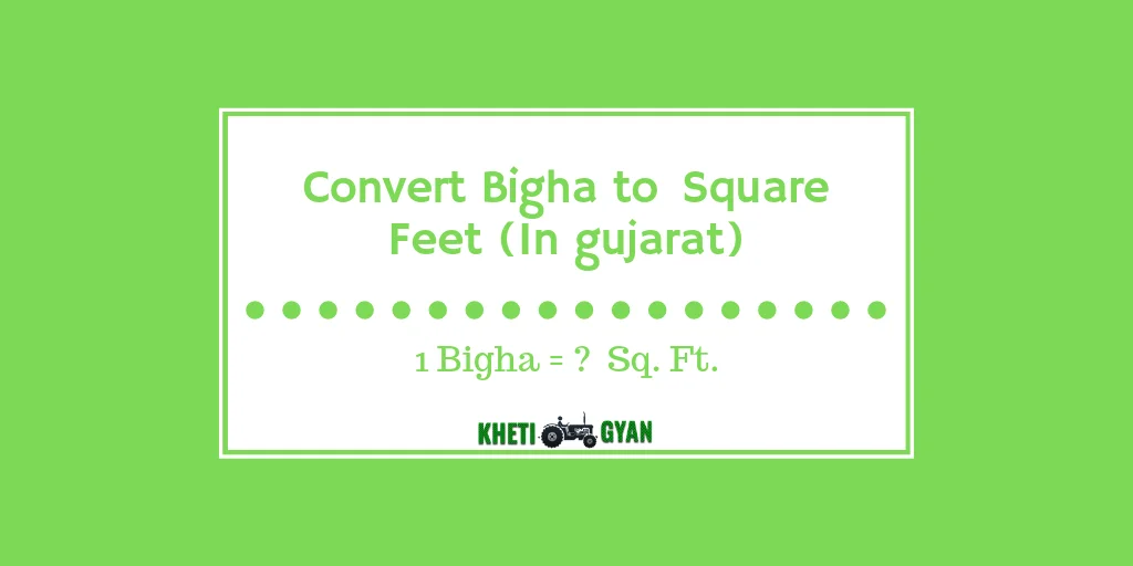 Convert Bigha to square gujarat