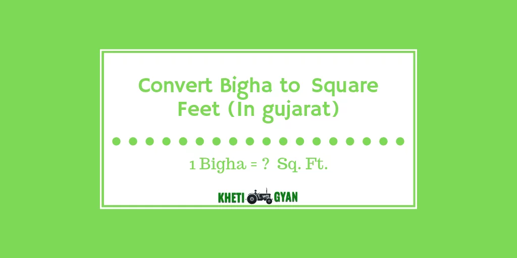 Convert Bigha to square gujarat