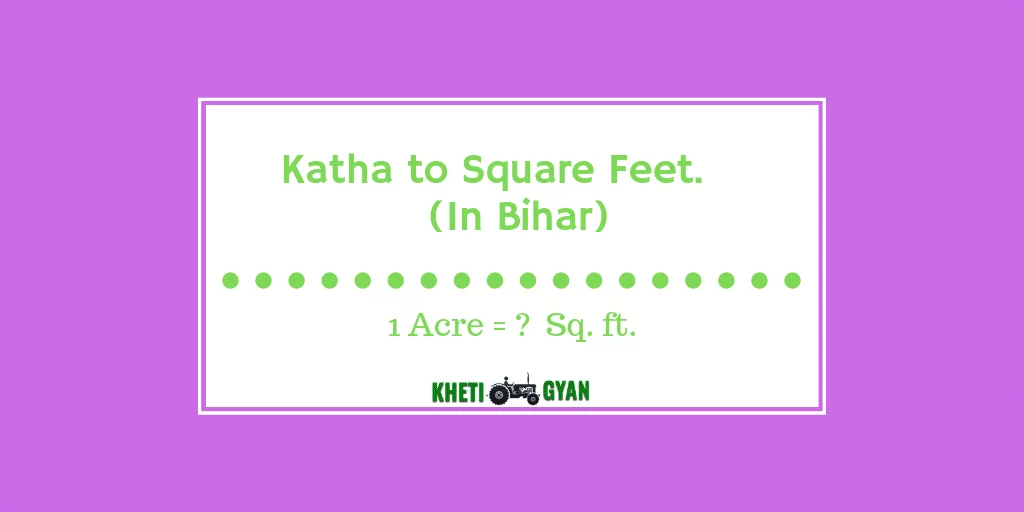 Convert Katha to square feet in bihar (1)