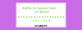 Convert Katha to square feet in bihar (1)