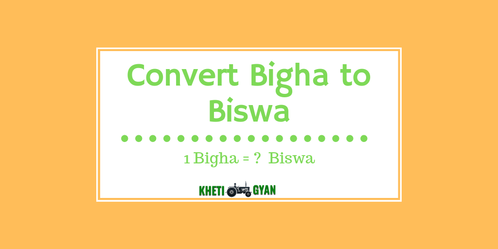 Convert bigha to biswa