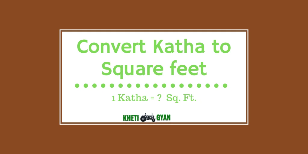 Convert katha to square feet
