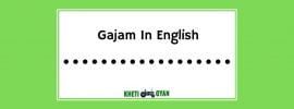 Gajam in english