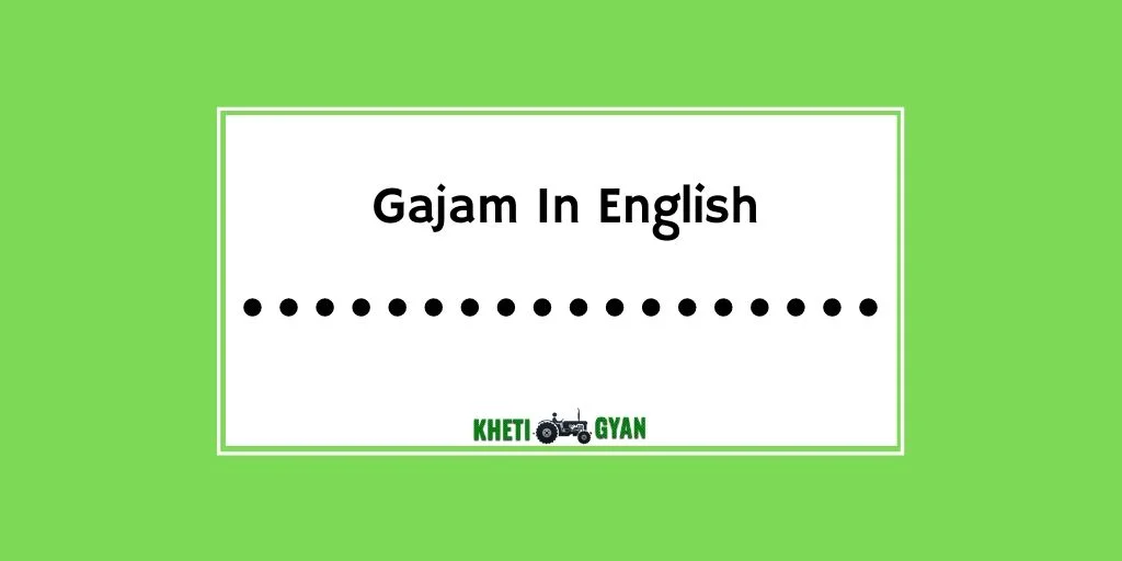 Gajam in english