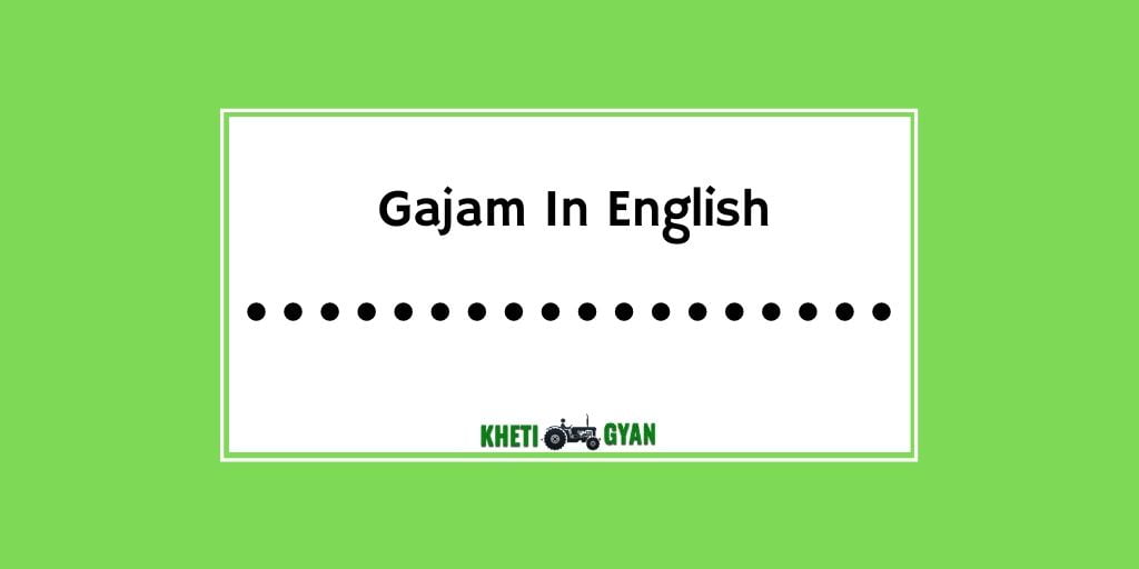 Gajam In English What Is Gajam Unit Converters For Land 